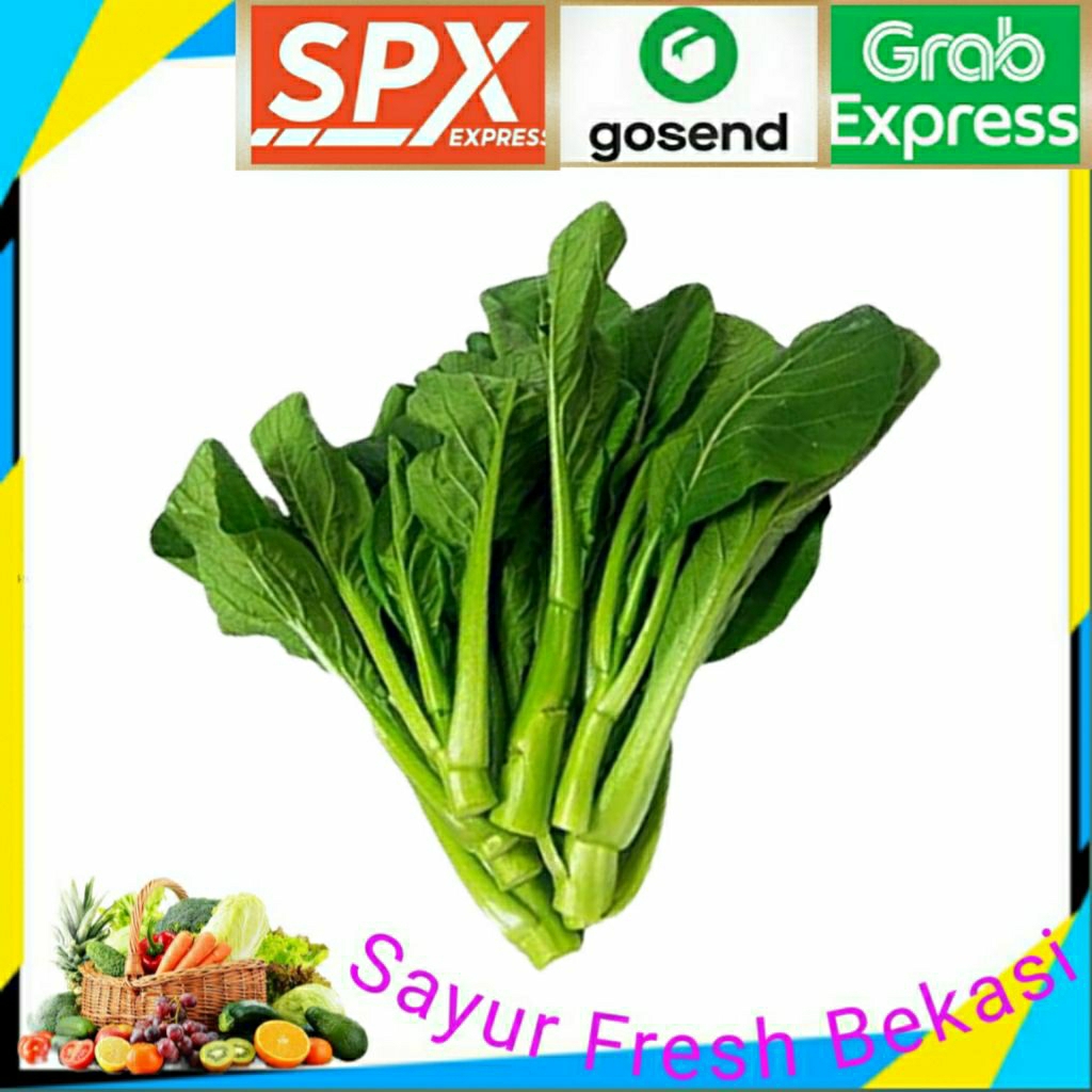 

Kailan Segar 1 ikat.