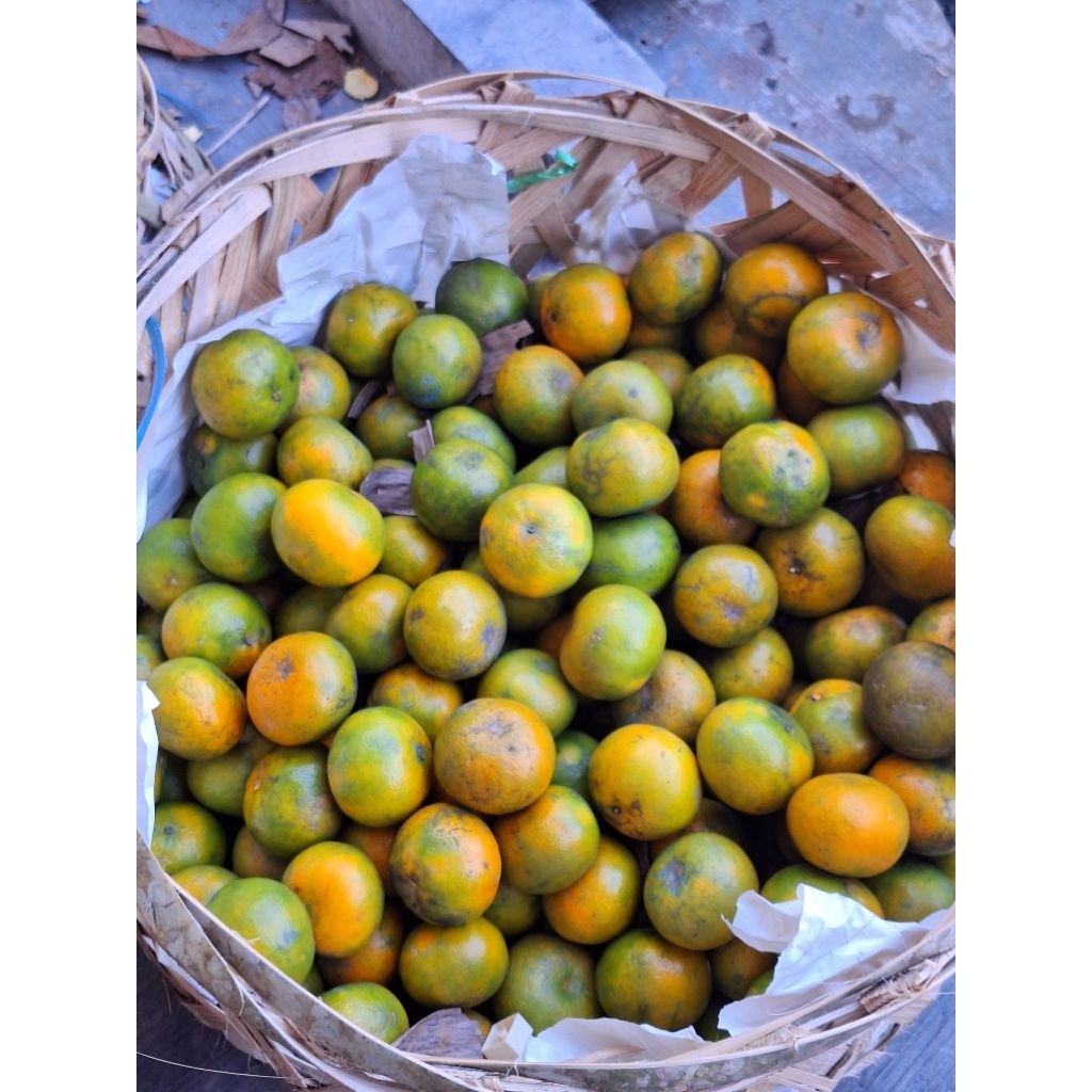 

Jeruk Madu/Jeruk Medan