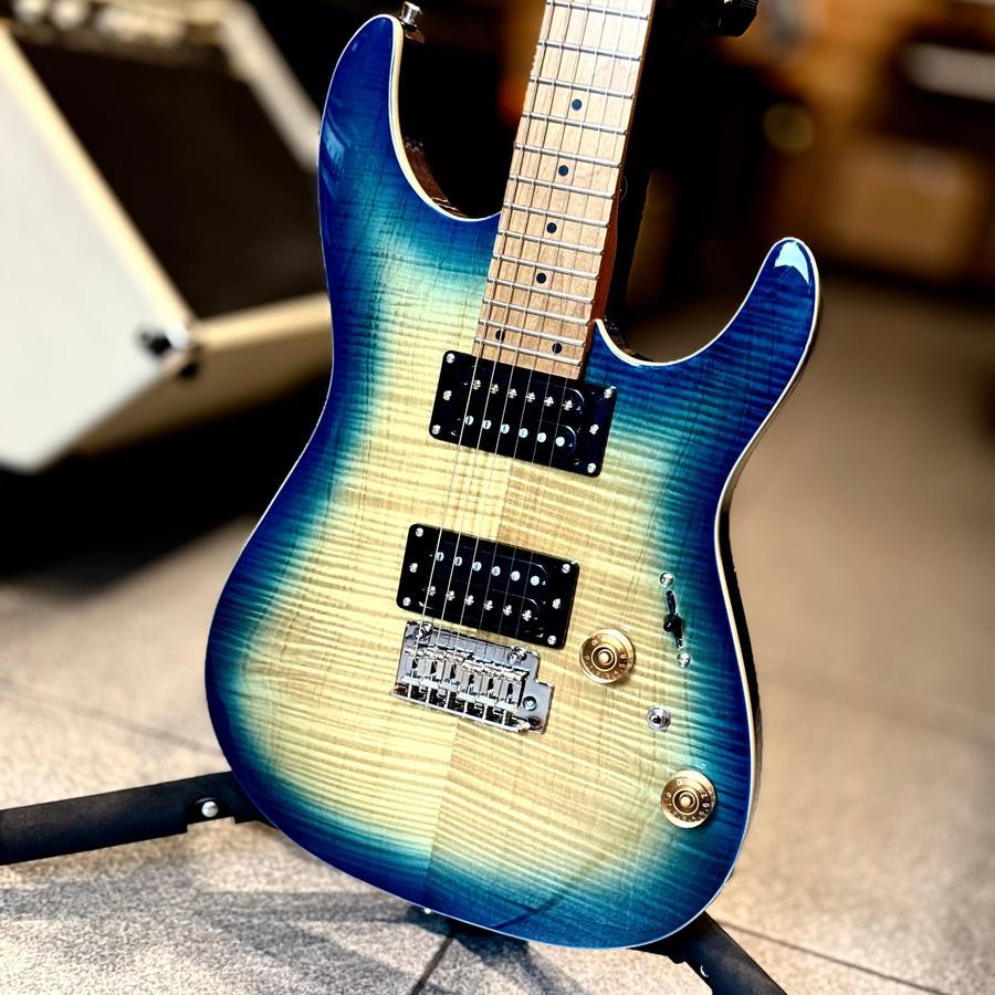 SQOE SEIB650 HH Roasted Maple Series Electric Guitar