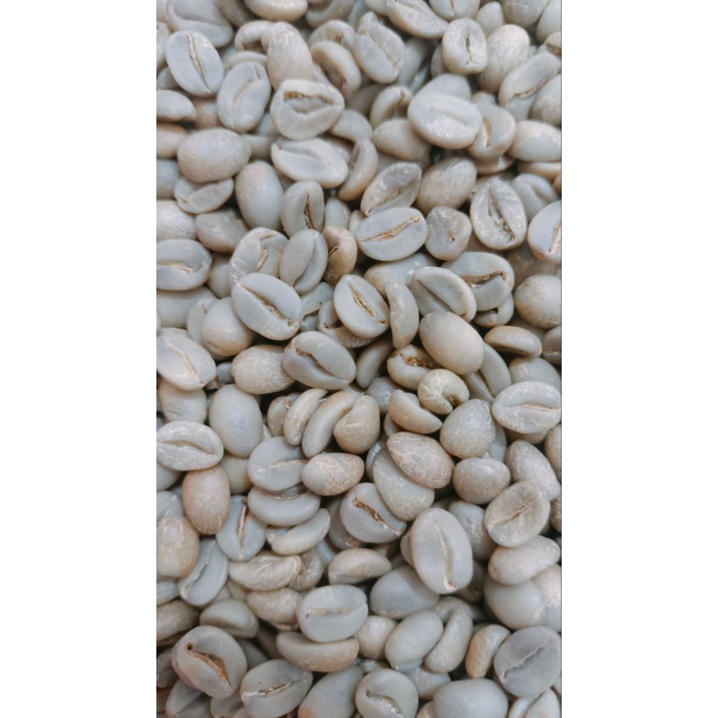 

#natural klasik arabica arjuno candi Singosari #