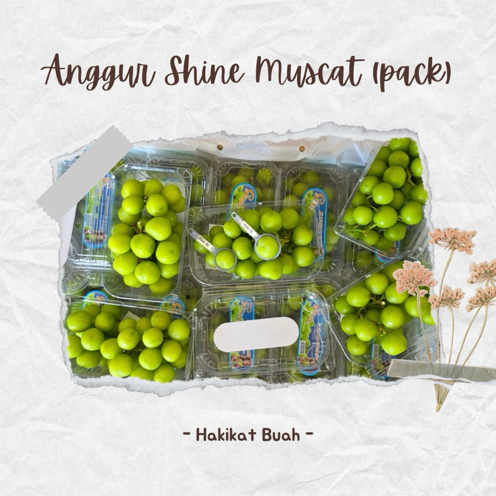 

Anggur Hijau Muscat Import