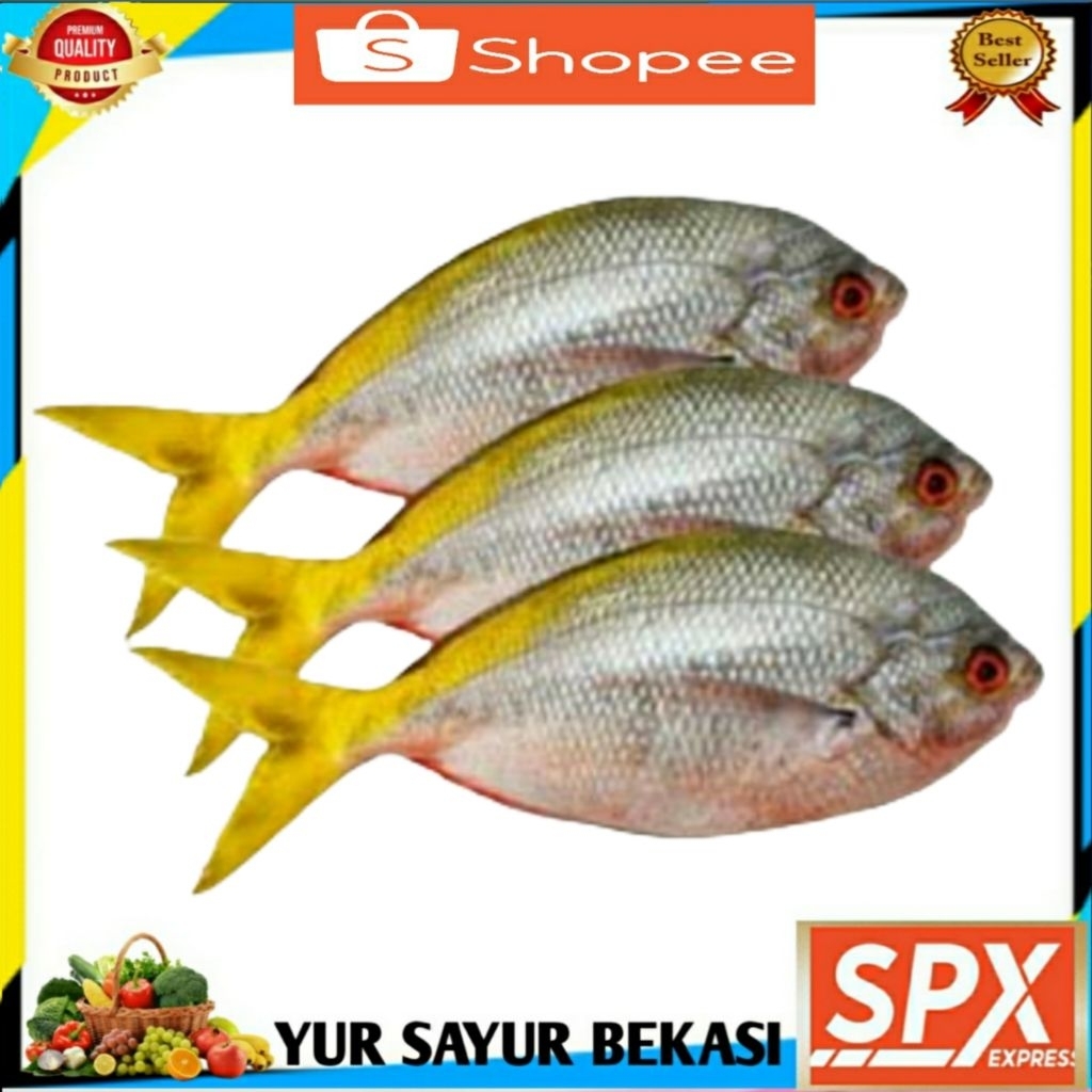 

Ikan Ekor Kuning Fresh 500gr.