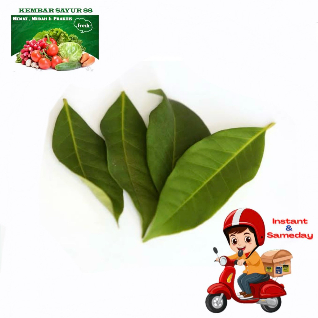 

Daun Salam - Kembarsayur88
