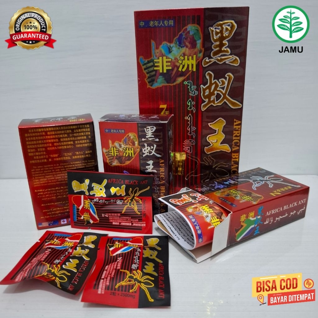 

AfricaBlackAnt-SemutIreng