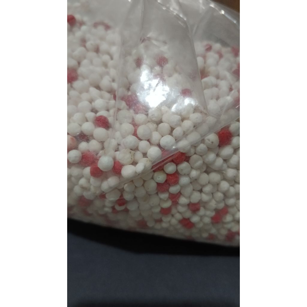 

MUTIARA SAGU MUTIARA ES TELER