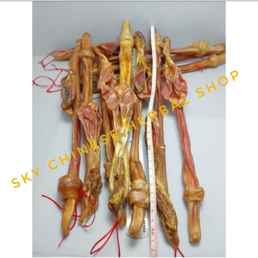 

Lu Bian 鹿鞭 / Chinese Deer Tangkar / Tangkur / Genuine Deer Tangkur / Zheng Lu Bian Lok Pian