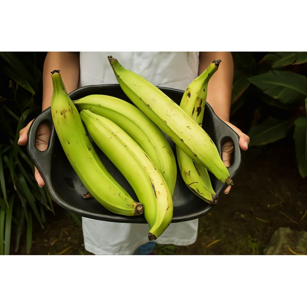 

readystock pisang tanduk muda, untuk membuat lantak/kripik!!