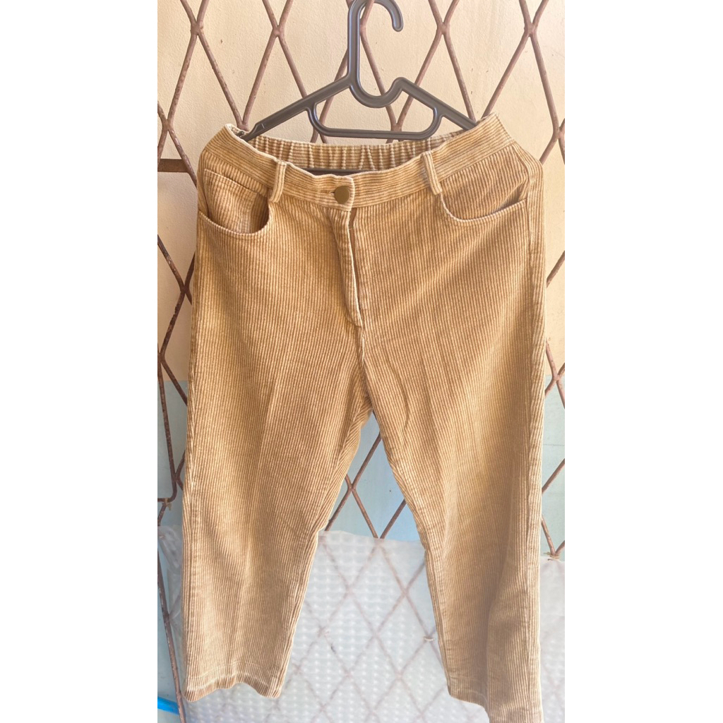 PL CLUB COCOA | Celana Pria Corduroy Cream M