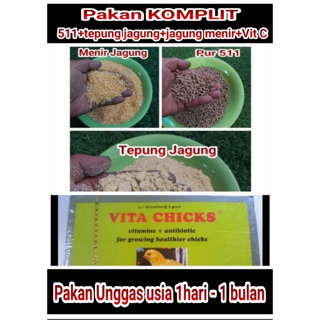 Pakan anak Ayam anak bebek unggas komplit plus Vitamin C anak ayam anak bebek entok ayam teletabis a