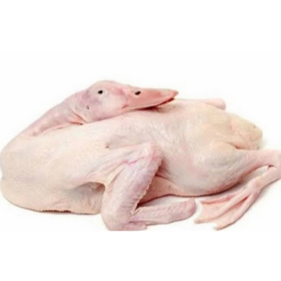 

Entog Per Ekor | JBP_Fresh