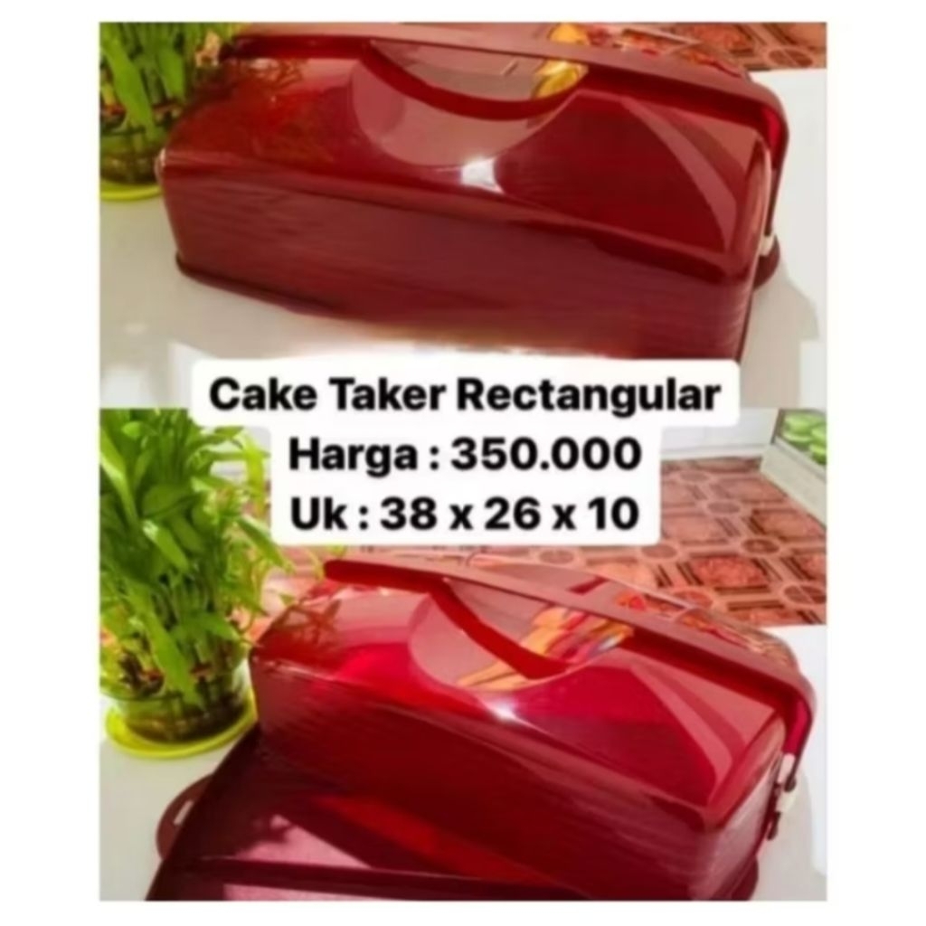 Rectangular Cake Taker Tupperware