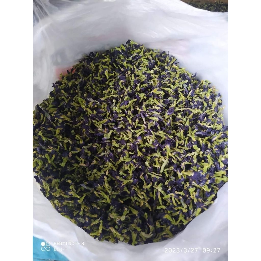 

Bunga tellang Grade ekspor