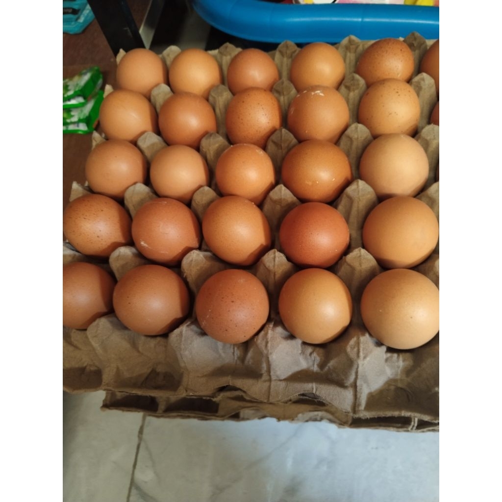 

Telor Ayam 1 papan isi 30 butir