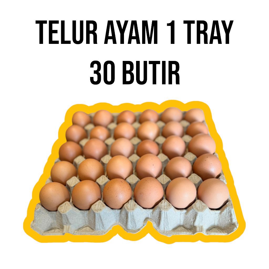 

Telur Ayam Negeri Premium 1 Tray 30 Butir Termurah