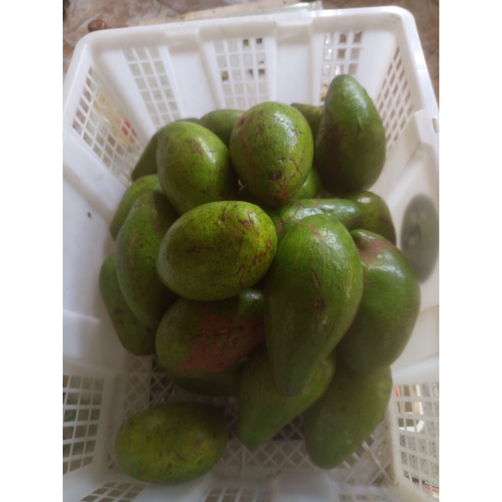 

Alpukat Mentega Siger 5kg