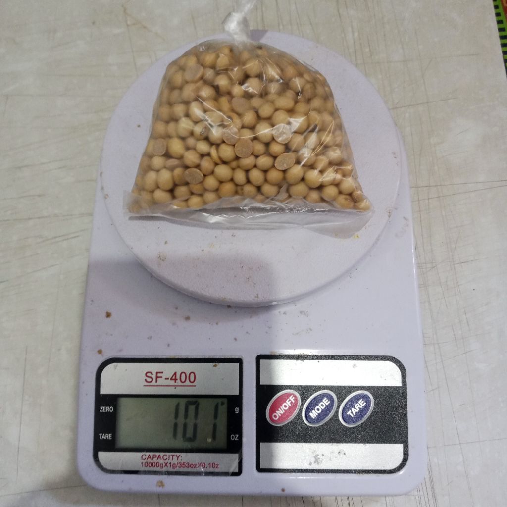 

Kacang kedelai mentah 100 gram