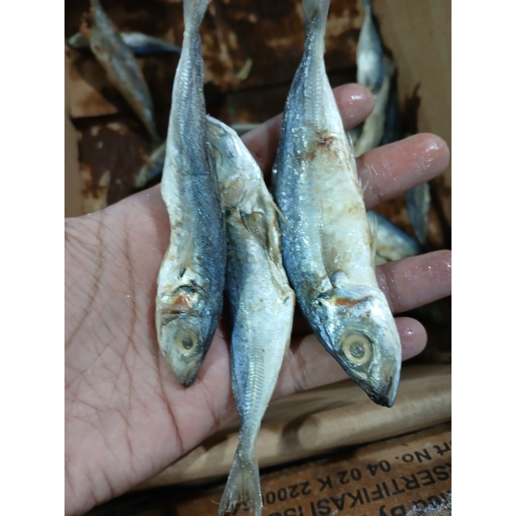 

IKAN ASIN LAYANG REBS 500GRAM