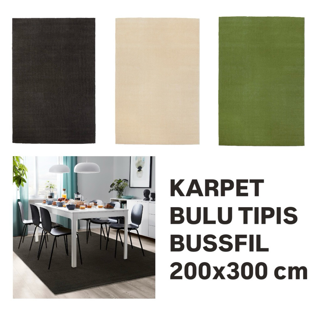 Karpet Besar Bulu Tipis Bussfil  200x300 cm