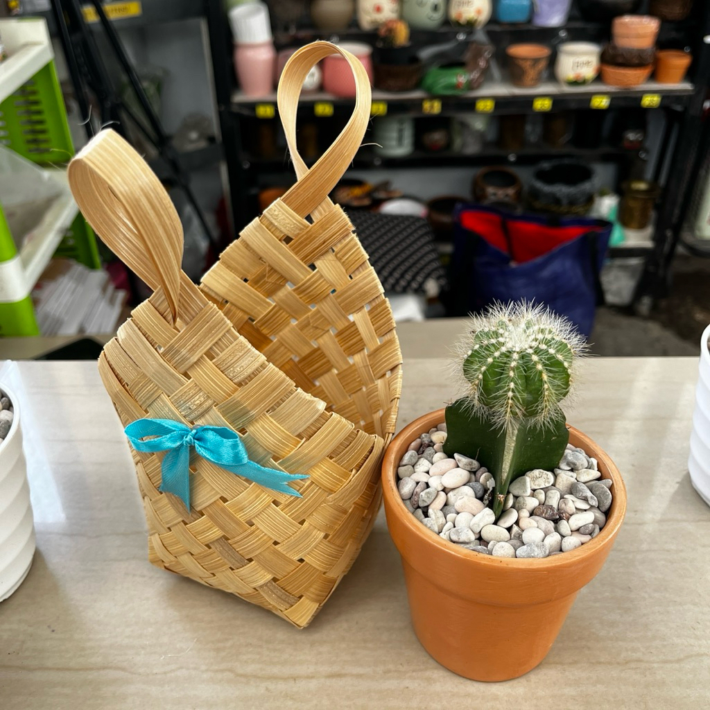 souvenir pernikahan premium kaktus mini hidup tas anyaman bambu murah