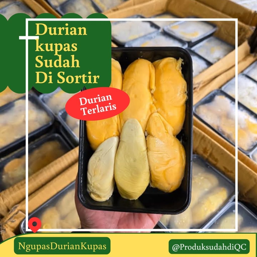

Ngupas Durian Kupas Gold King Sibolga