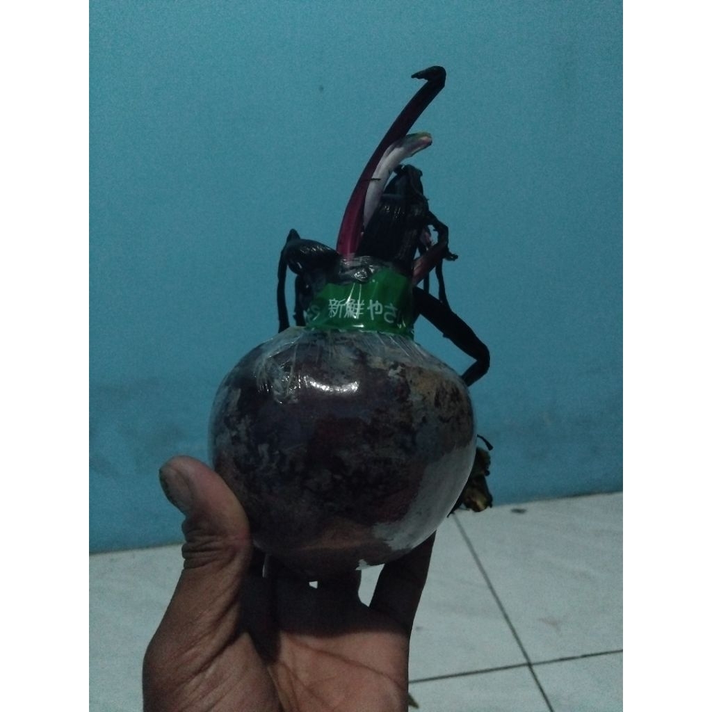 

BUAH BIT Segar Fresh 1kg | 500gr