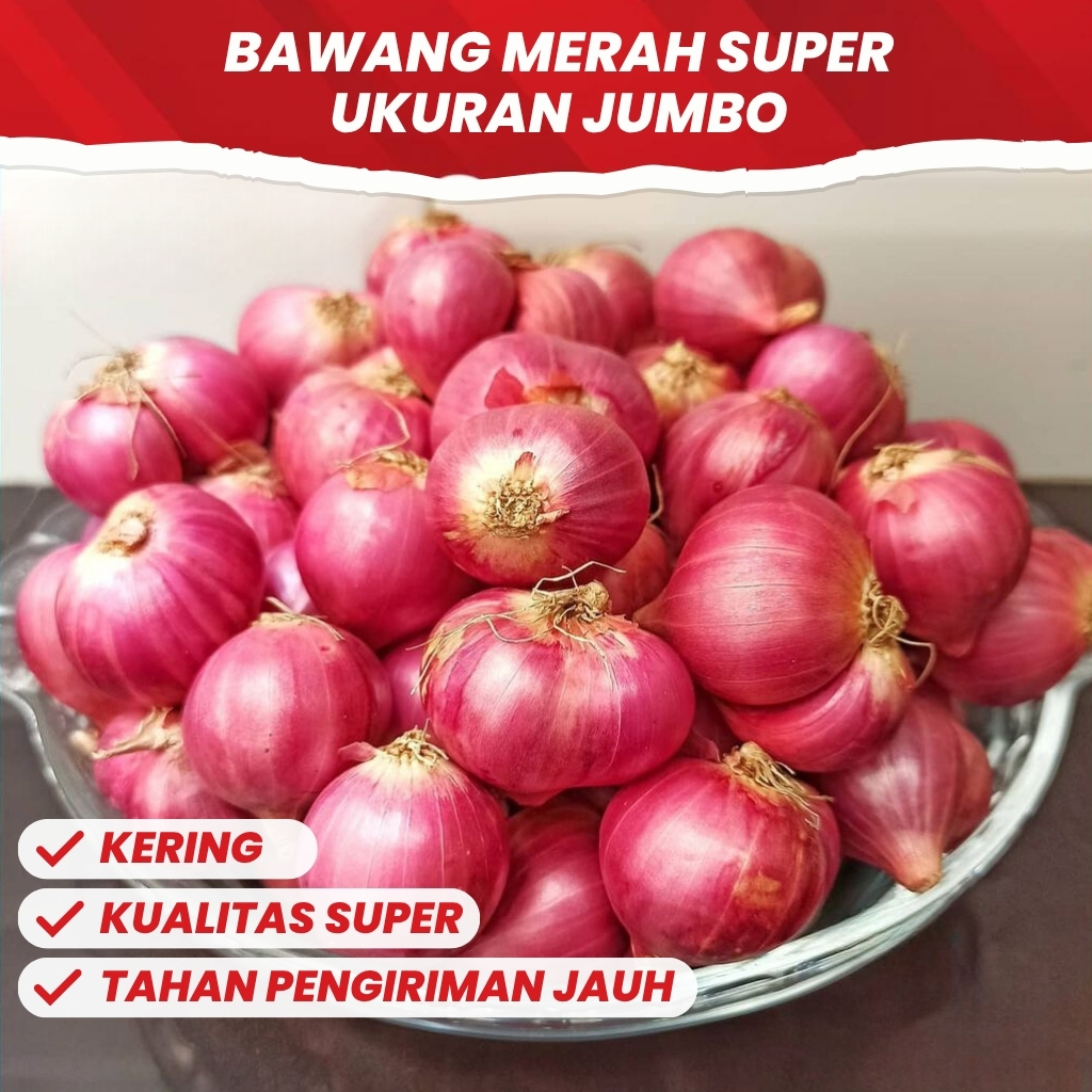 

Bawang Merah Besar Murah Kering 1 Kg Kualitas Super Jumbo Premium Untuk Bumbu Masakan dan Bawang Goreng