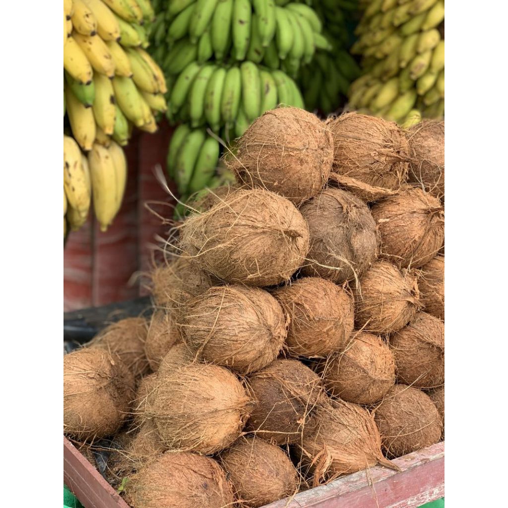 

Kelapa tua super untuk santan