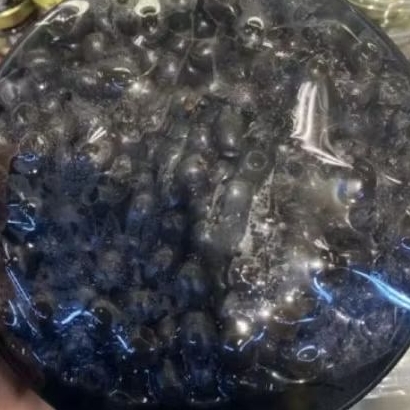 

Buah zaitun hitam segar | fruits black pitted fresh -+500 gram