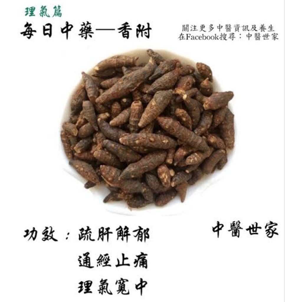 

100gr Xiang Fu Zi Rhizoma Cyperi Teki Ladang Cyperus Rotundus