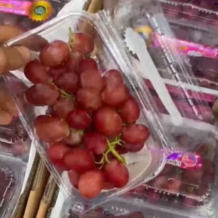 

Buah Anggur Rose Beauty Pack per 1 dus karton