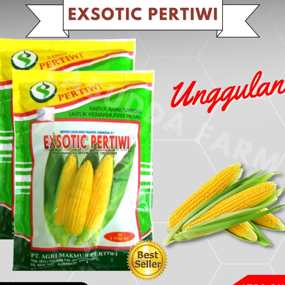 

PROMO !!! Benih Jagung Manis EXOTIC Isi 1750 Butir