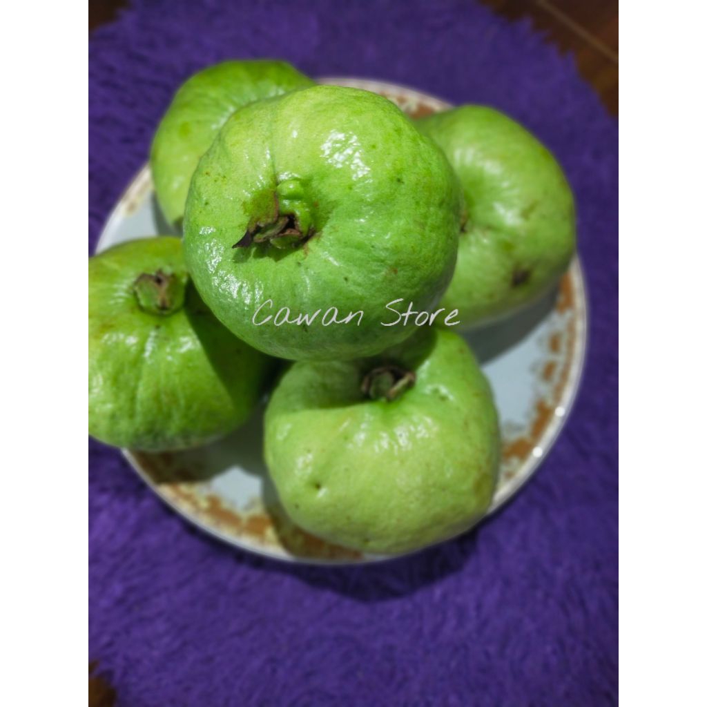 

Jambu Kristal Fresh 1kg isi 4-6 buah