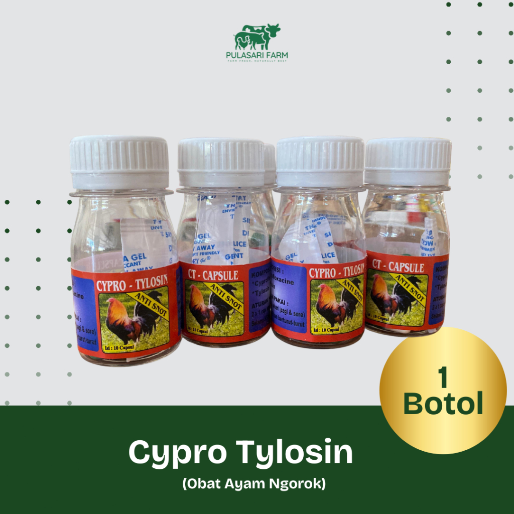Cypro Tylosin - Capsule Obat Ayam Ngorok Snot 10 kapsul