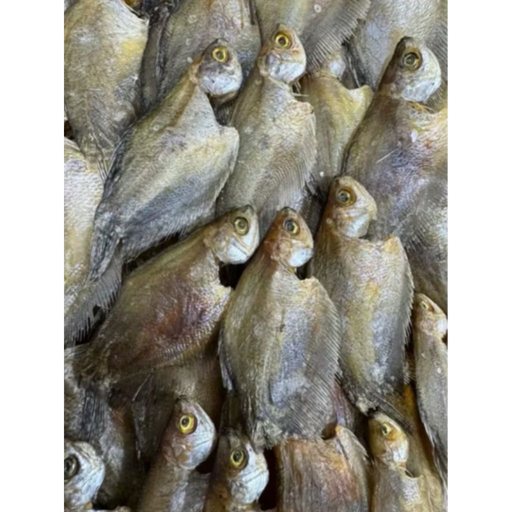 

IKAN ASIN SEPAT RAWA 500GRAM