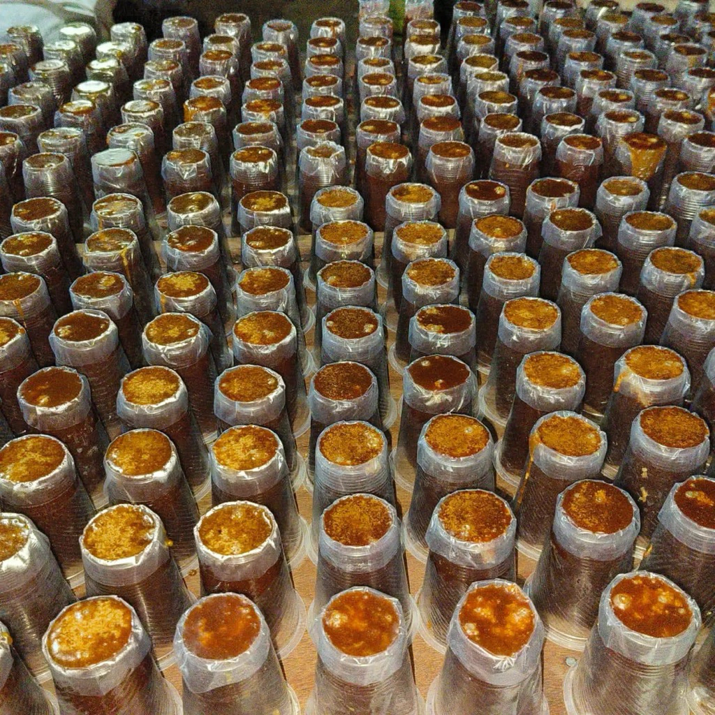 

gula merah asli dan campuran 1kg