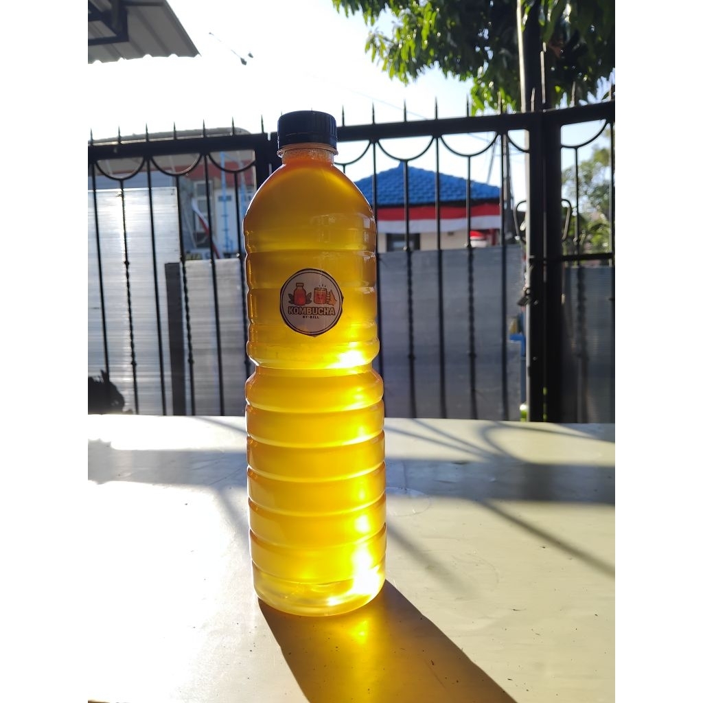 

Kombucha 1L Varian Green Tea MURAH BANGET