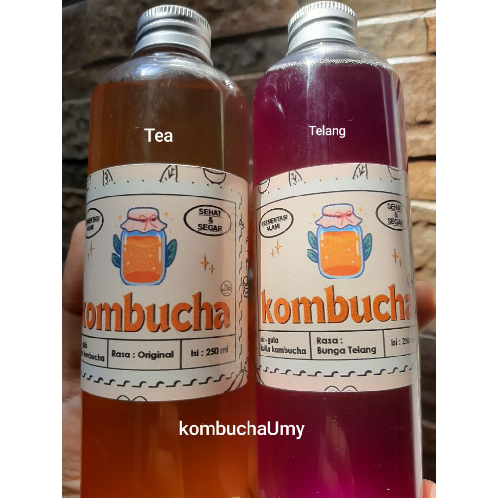 

Minuman kombucha dua rasa masing masing rasa 250ml