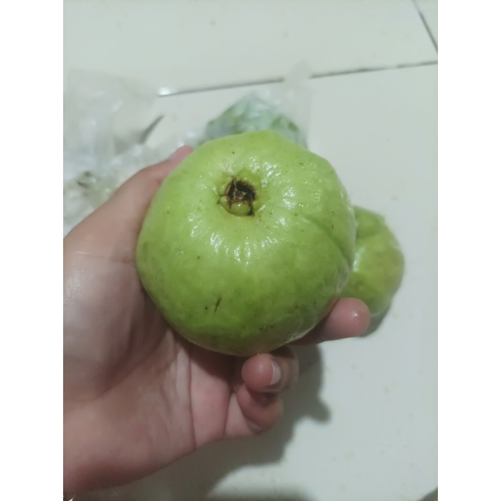 

Jambu Kristal Fresh 1kg