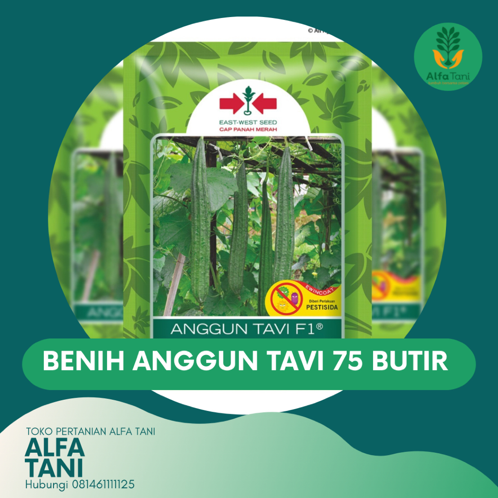 BENIH OYONG ANGGUN TAVI 75 BUTIR [BENIH GAMBAS]