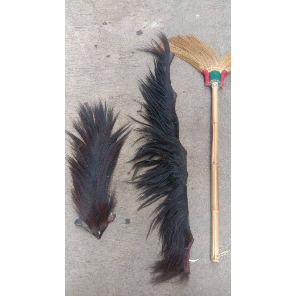 ekor dan suri kuda warna hitam