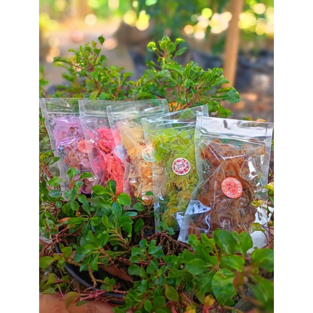 

PROMO KERIPIK PISANG COKLAT LUMER 35 GRAM KERIPIK PISANG LUMER Coklat, Matcha, Strawberry, Tiramisu, White Chocolate