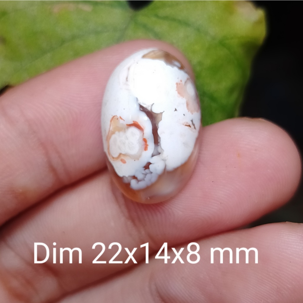 BATU AKIK PUTIH ANTIK NATURAL ASLI cek batu lainnya yaman api wulung opal bacan permata kalimaya kin