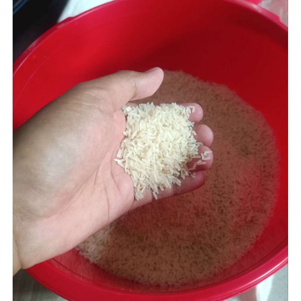 

Beras Banjar Anjir (Dari Kalimantan Selatan)