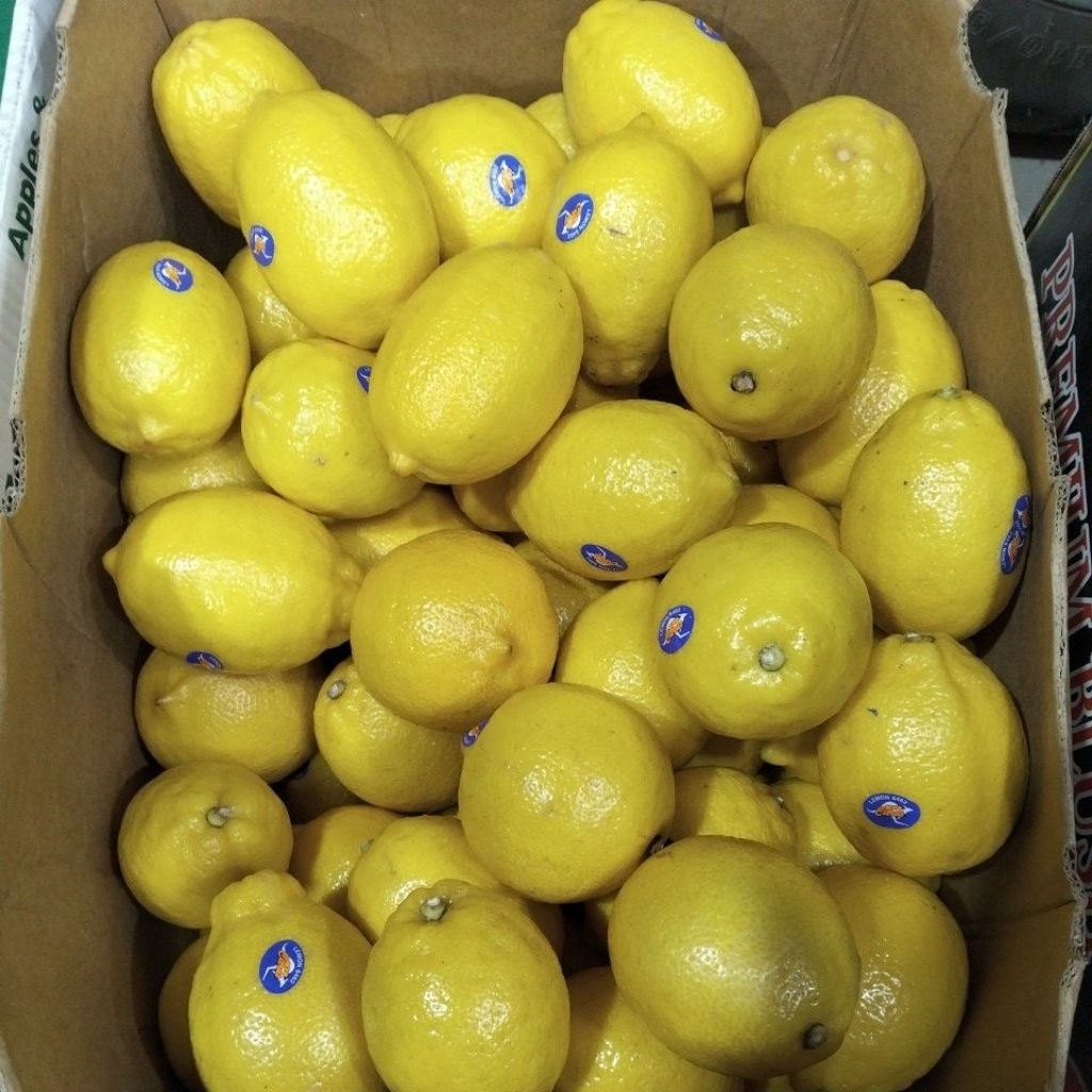 

Jeruk Lemon Ausi fresh 1kg