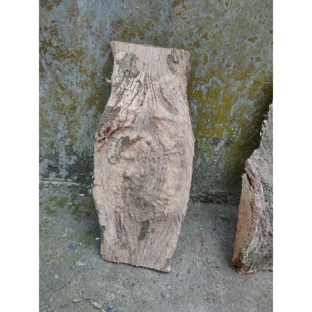 kulit_kayu_jati_media_anggrek