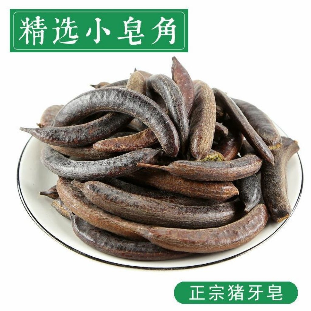 

100gr Herbal Xiao Ya Zao Small Fruited Honeylocust / Gleditsia Australis / Abnorma Chinese Honeylocust Fruit / Fructus Gleditsiae Abnormalis / Gleditsiae Fructus Abnormalis