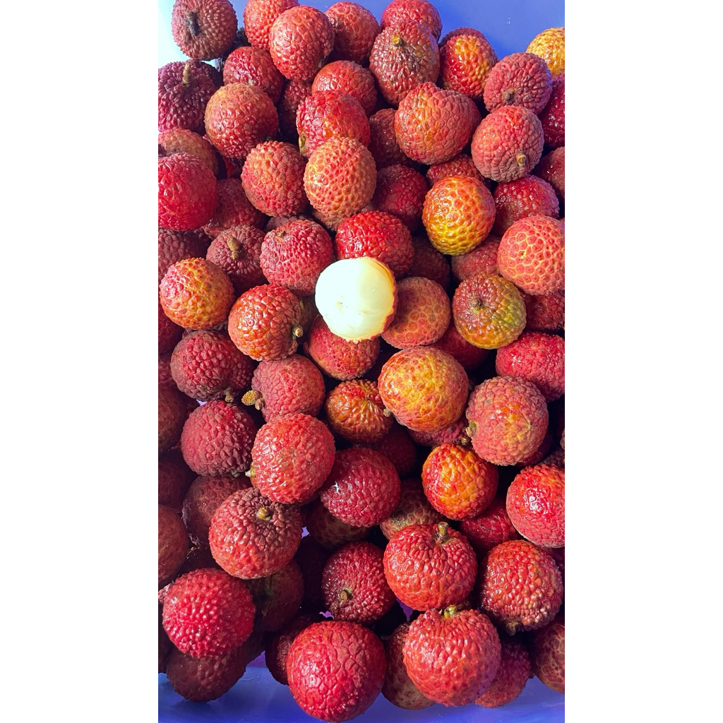 

link co leci keranjang 205 admin 12%