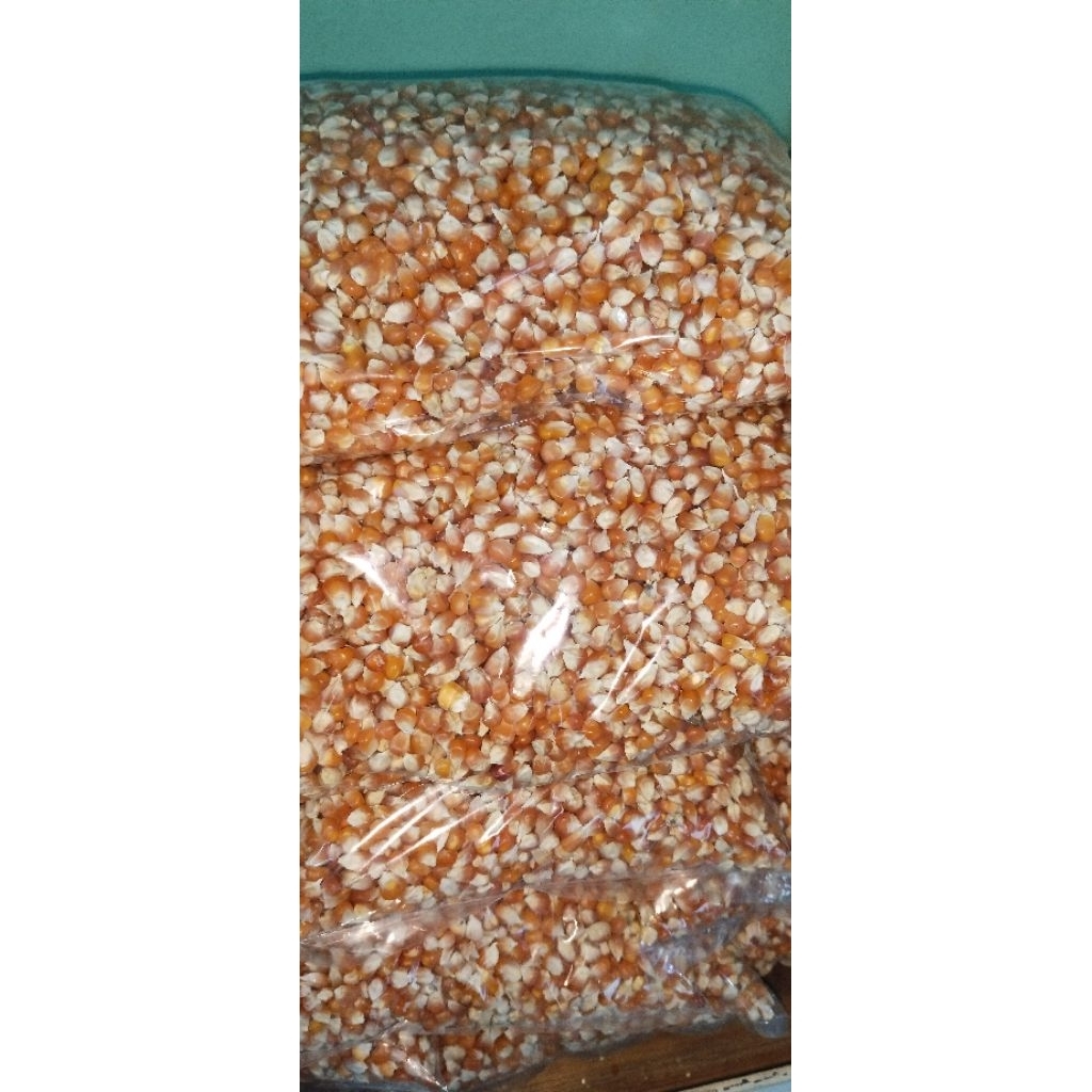 Jagung butir kristal probolinggo 1kg