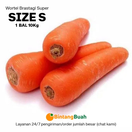 

Wortel Segar S (size SEDANG) Bal / Wortel Brastagi S Fresh / Carrot Fresh / Fresh Carrot / Wortel Super Segar / Sayuran Segar /Wortel Import / 10 Kg / Bal