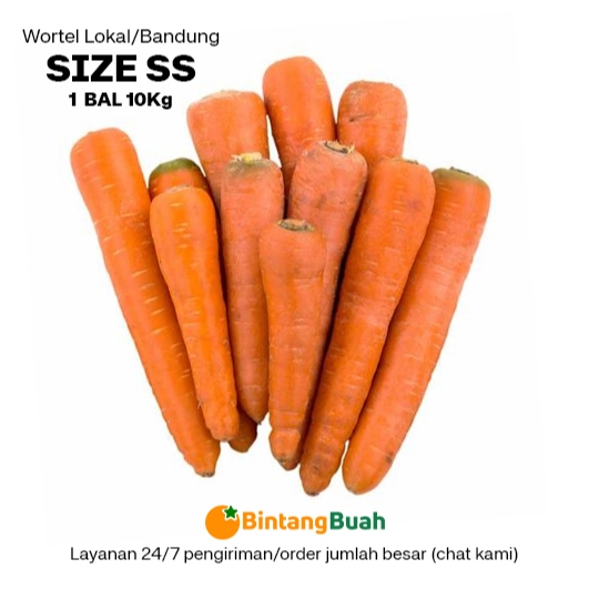 

Wortel Segar Lokal SS (size KECIL) / Wortel Bandung / Wortel Bandung Fresh / Carrot Fresh / Fresh Carrot / Wortel Segar / Sayuran Segar /Wortel Lokal / 10 Kg / Bal